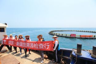 京東出臺最嚴金鯧魚檢測標準 管控指標超140項，助推畜牧漁業飼料升級
